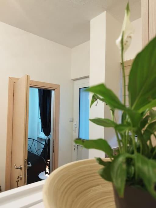 Esteticaapartments Rhodes City Bagian luar foto